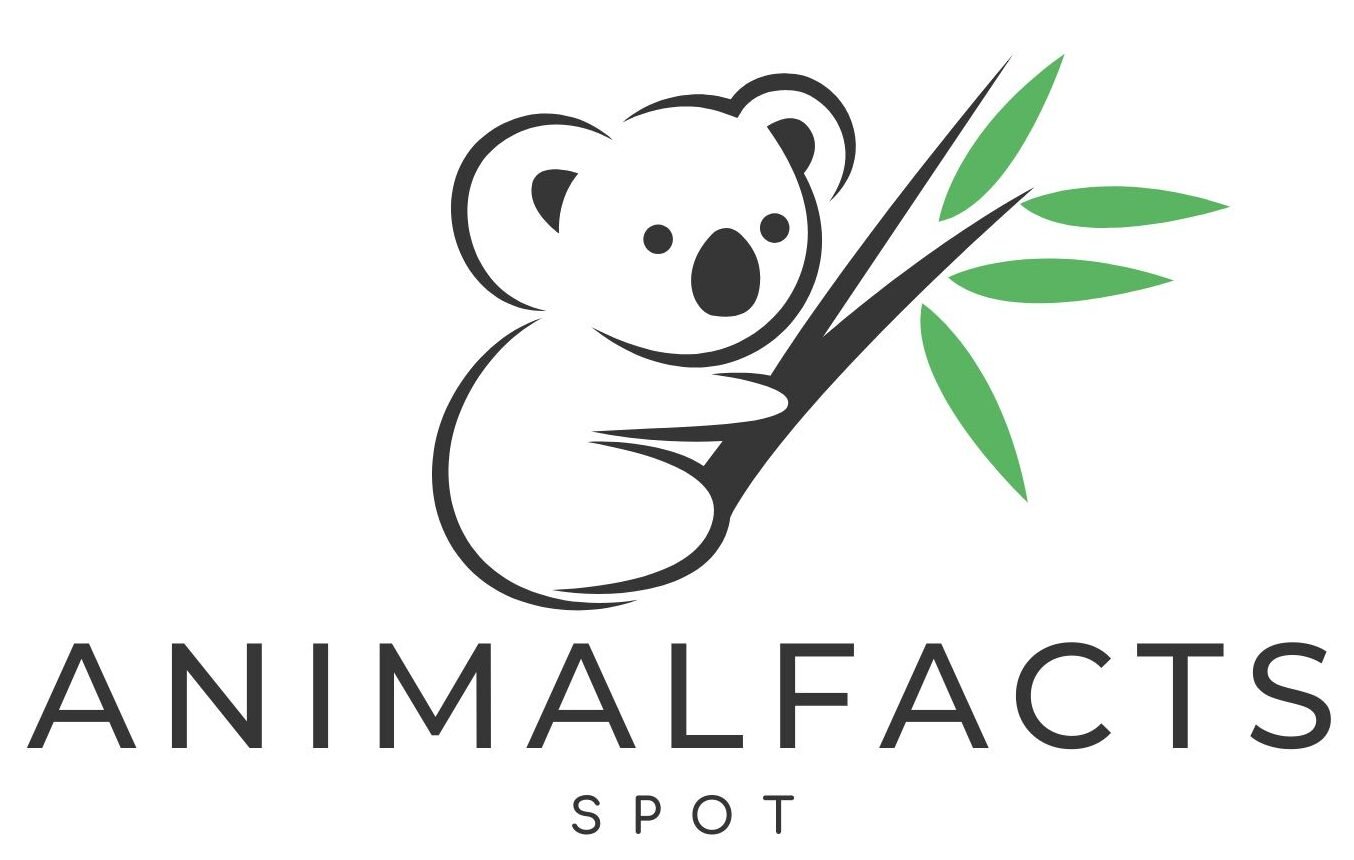 Animalfactsspot